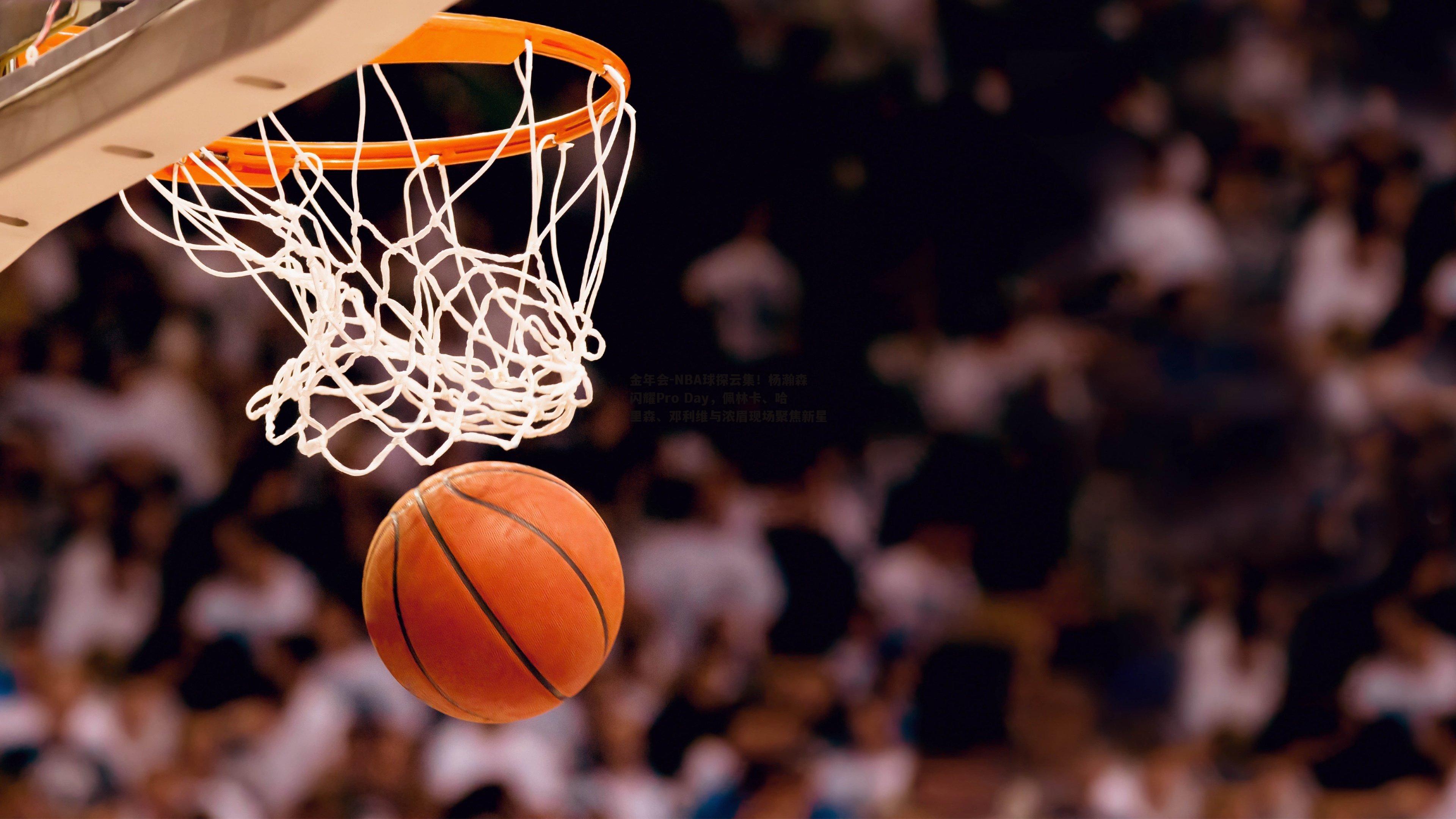 NBA球探云集！杨瀚森闪耀Pro Day，佩林卡、哈里森、邓利维与浓眉现场聚焦新星